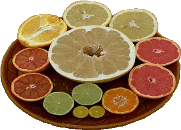 Tsitrused L - - Sweet Lemon (400x300)