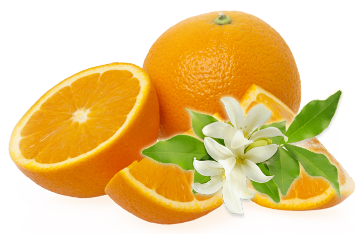 Arôme 3 Lions Vous Offre - Health Plus Prime Organic Anti-ageing Vitamin C Serum (900x600)