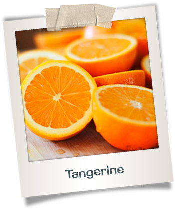 Health Benefits - Almond Blossom Van Gogh (450x450)