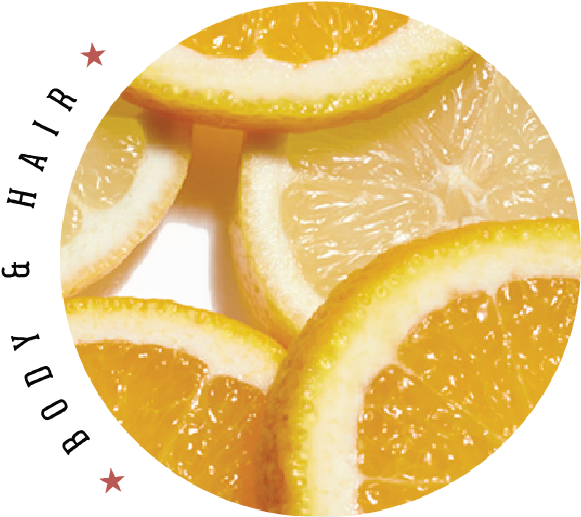 If You Prefer To Place Your Order With Emily Via Telephone, - Bitter Orange (588x523)