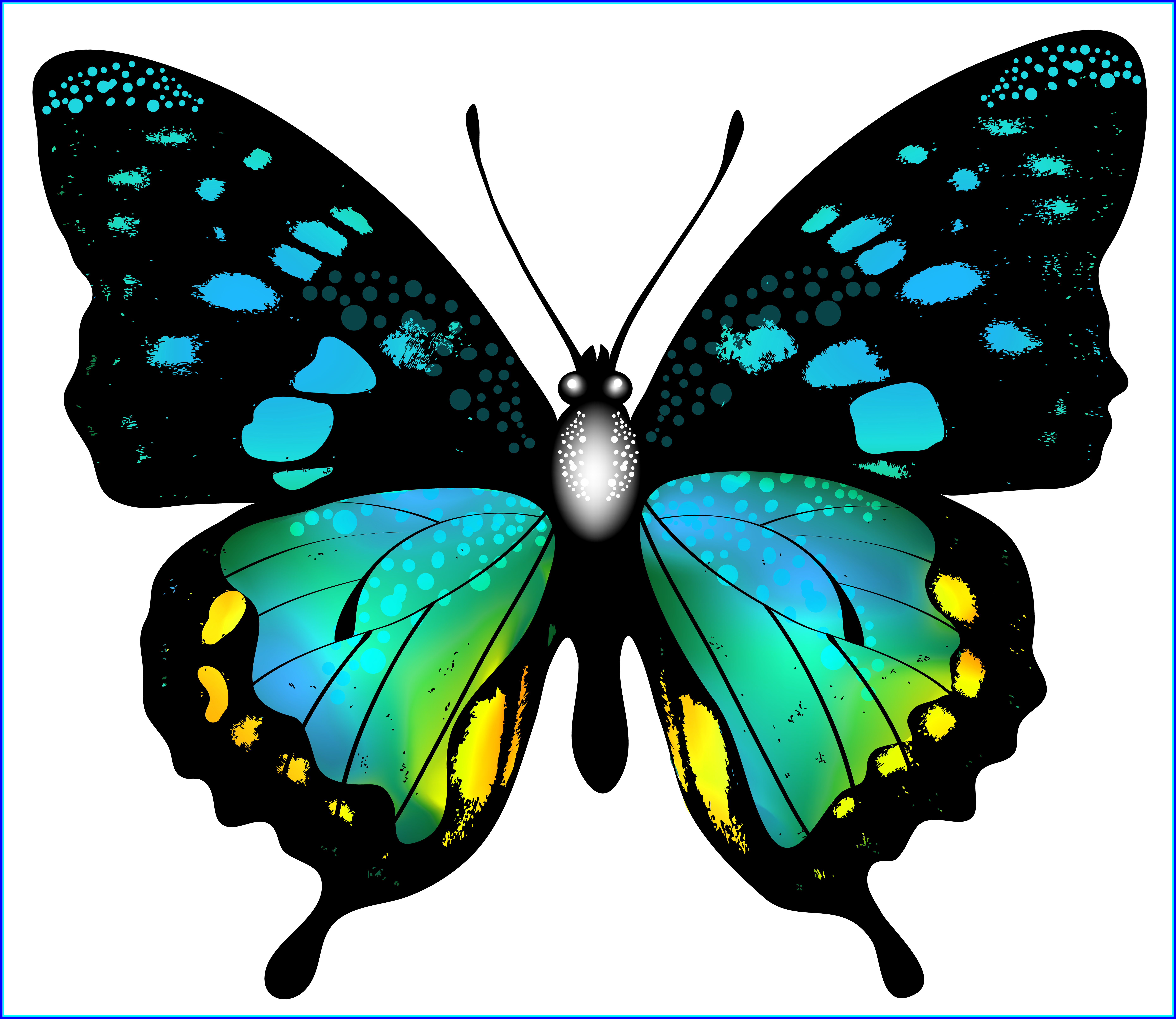 Butterfly Clipart Butterfly Cocoon Clipart Shocking - Butterfly Clipart Butterfly Cocoon Clipart Shocking (7444x6451)