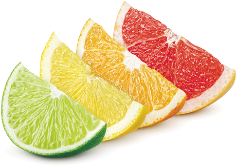 A Citrus History - Lime Lemon Orange Grapefruit (503x367)