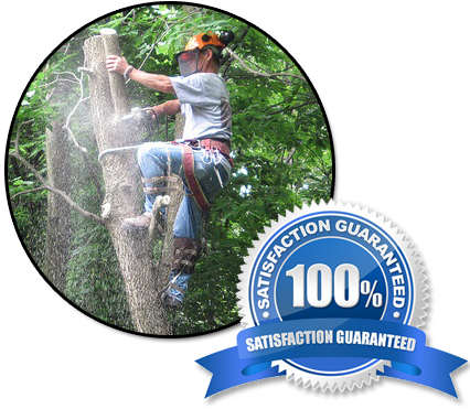 Tree Trimming Services Jacksonville Fl - Speaker Grill Cloth Black Speaker Grill Fabric (426x371)