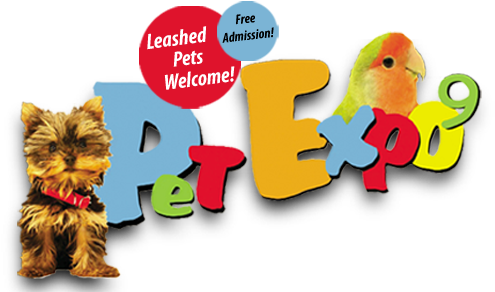 Free Old Fashion Pet Friendly Hollywood Photo Booth - Small Cute Funny Puppy Dogs 32x24 Print Poster (511x300)