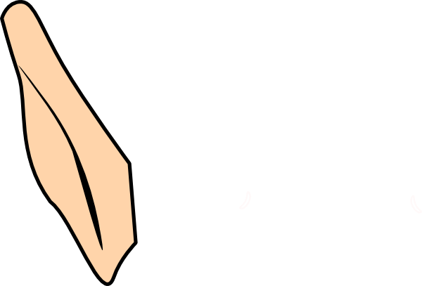 Single Elf Ear Clip Art At Clker Elf Ears Clipart - Elf Ear Clipart (600x407)