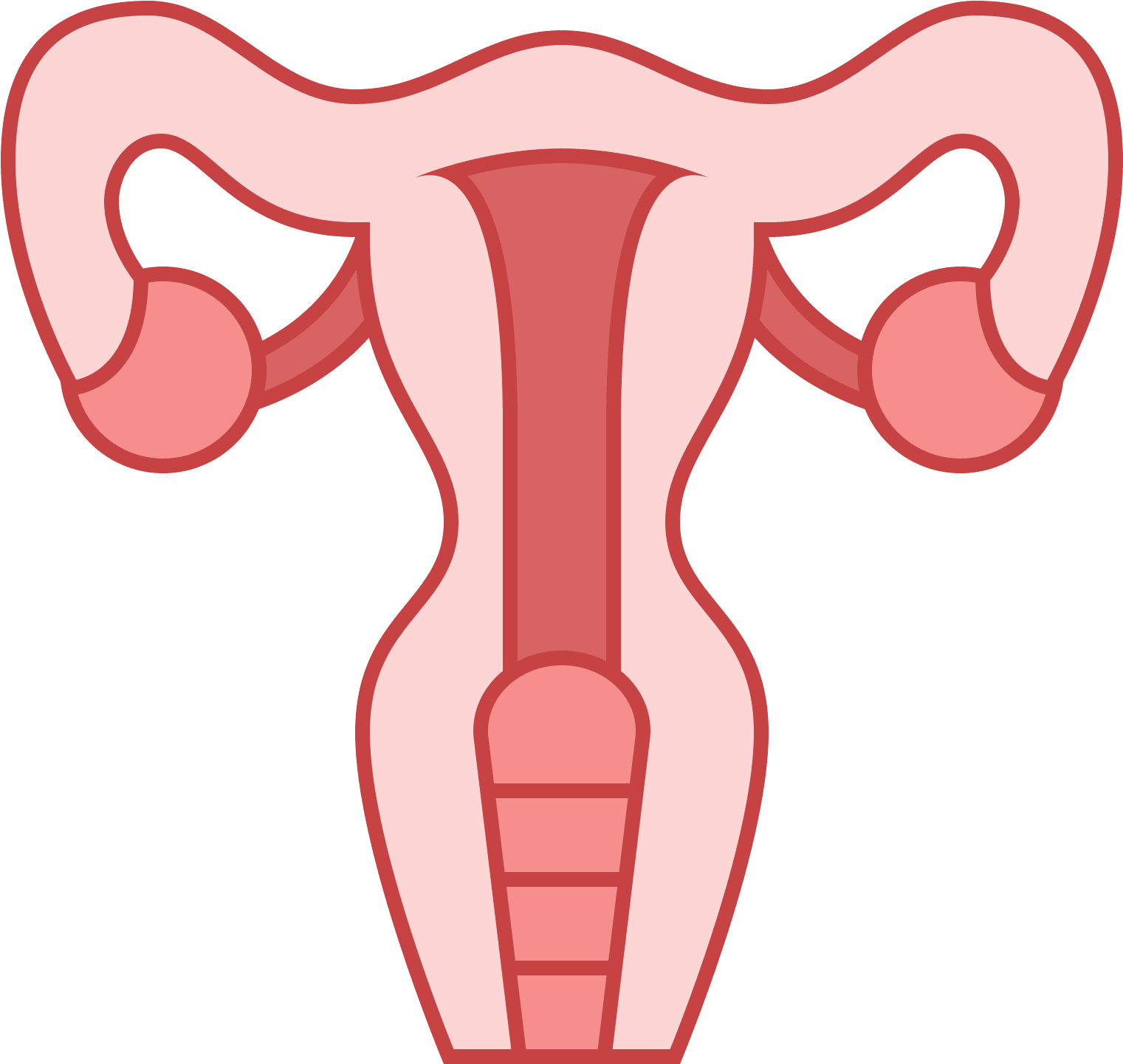 This Icon Represents The Uterus Of A Female Human - Uterus (1600x1600)