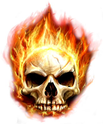 Fire Png File - Fire Skull Png (330x400)