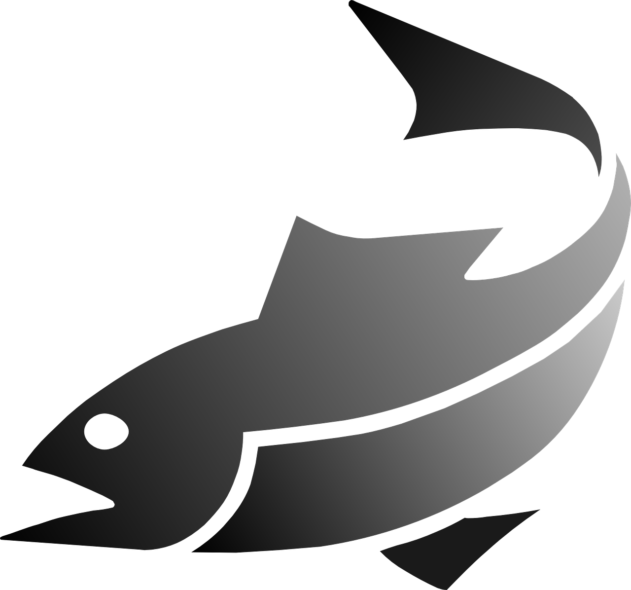 How To Draw A Fish - Fish Icon Vector (1280x1196)