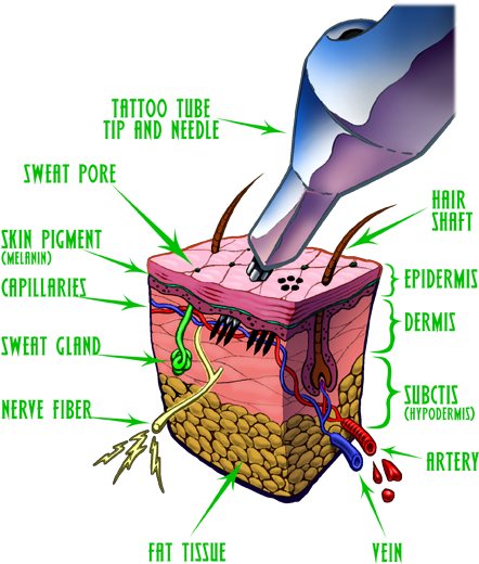 Construction Of Skin Козметика За Избрани - Second Skin Tattoo Cover (464x540)