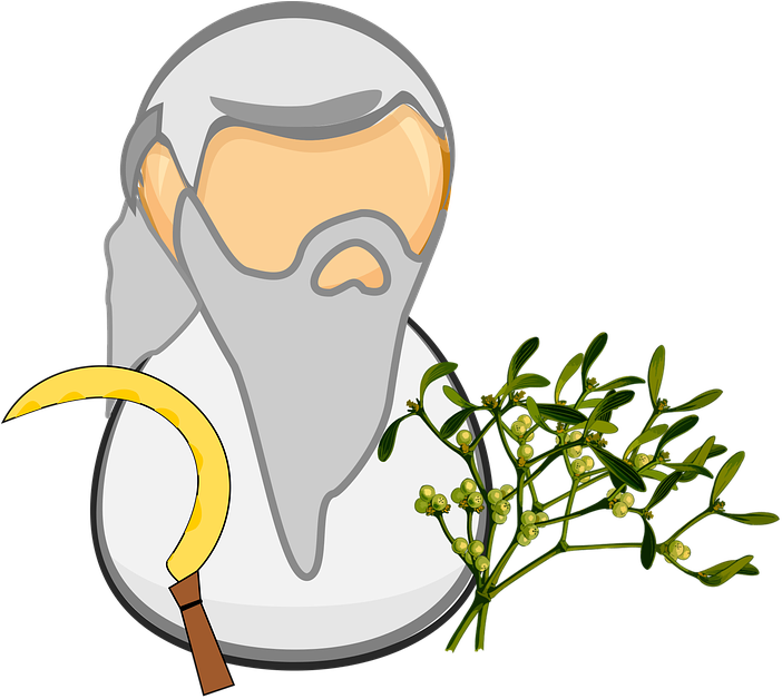 Driveway Cliparts 28, Buy Clip Art - Druid Clipart (768x720)