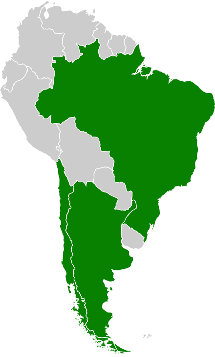 Argentina, Brazil And Chile In Green Colours - 2014 Fifa World Cup (440x729)