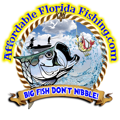 Fishing Charters Homosassa, Crystal River, Yankeetown, - Illustration (407x405)