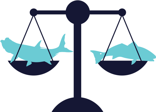 Ask About Our Weighmaster Services For Your Next Fishing - Weighing Scale (534x460)