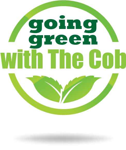 What's In Your Cushion - Learning American Sign Language In High School (600x600)