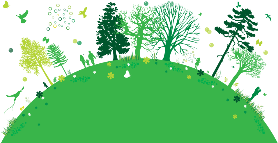 Parish Of The Resurrection, St - Parish Of The Resurrection, St (1000x520)