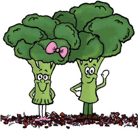 We Hope You're Enjoying Going Green With Raddish This - Grocery Store (480x472)