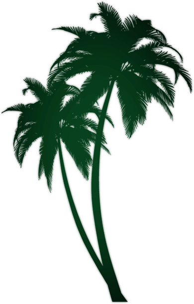 Real West Radio - Nile Collective (390x609)