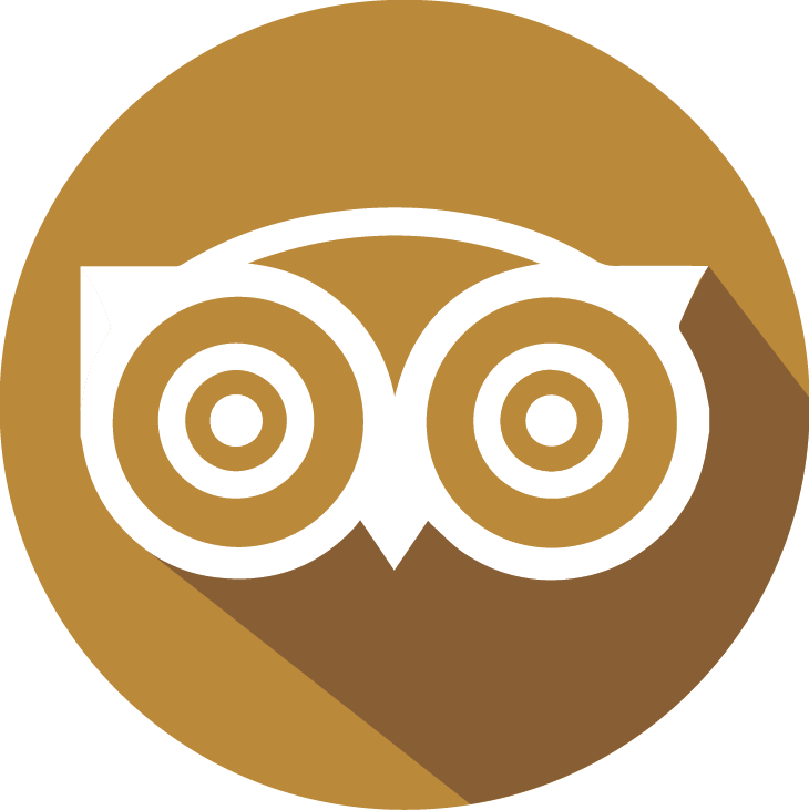 New York Times App Icon (730x731)