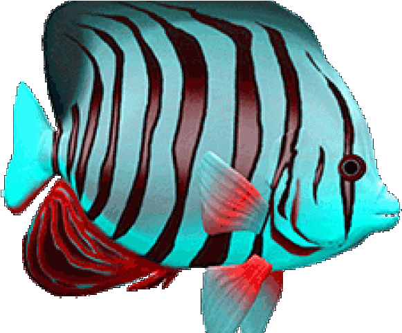 Animated Pictures Of Fish - تصویر متحرک ماهی (640x480)
