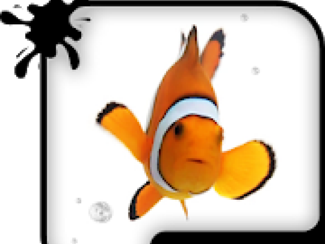 Pictures Of Animated Fish - Clownfish (640x480)