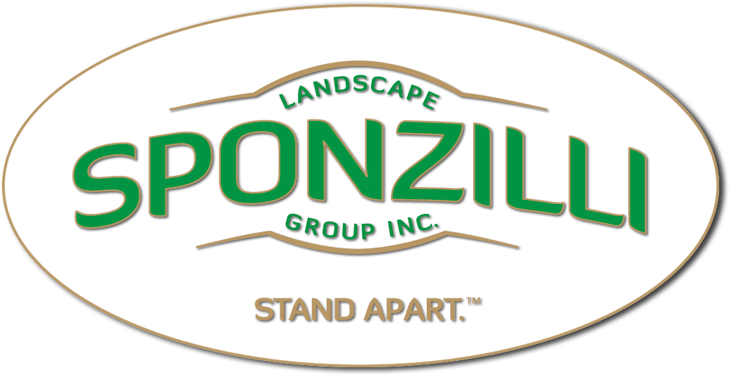 Sponzilli Logo Green Circle - Best Of Augusta 2017 (1043x544)