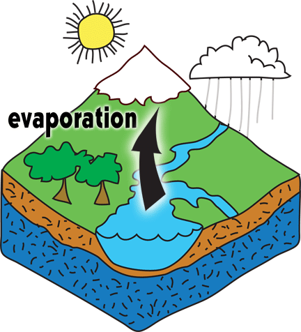 Clipart Water Cycle Run Off Water Clipart - Evaporation In Water Cycle (432x476)