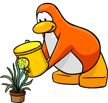 Water Pot Snake Grass Cover - Water Pot Snake Grass Cover (500x445)