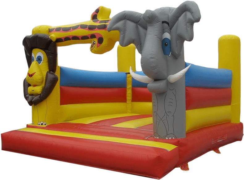 Bouncy Castle - Inflatable (1000x750)
