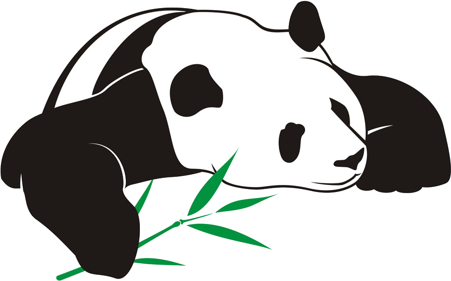 Giant Panda Bear Illustration - Luja Earth Organic Bamboo Toothbrush With Charcoal (1374x1168)