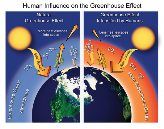 Greenhouse Effect Human Influence On The Greenhouse - Human Influence On The Greenhouse Effect (600x647)