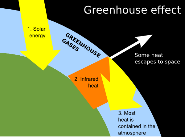 Greenhouse Clip Art At Clker - Greenhouse Effect Labelled Diagram (600x443)