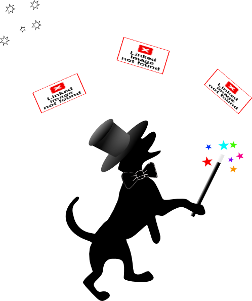 Cochop Both Hand Pair Pet Hair Remover Grooming Glove (498x594)