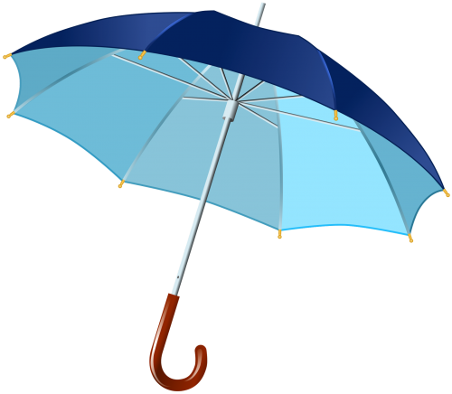 Download Umbrella Png Image - Umbrella Png (500x436)