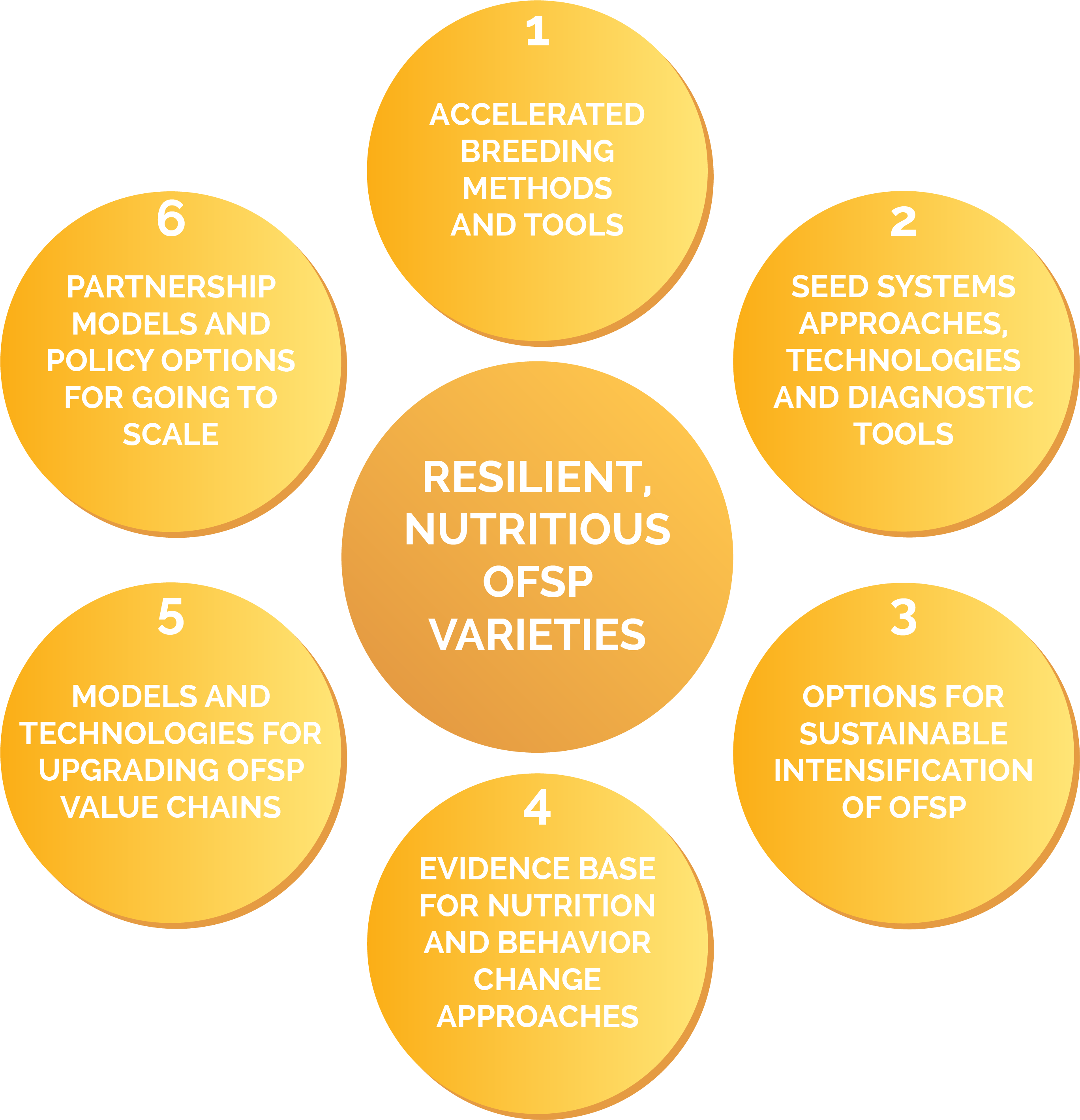 We Will Engage With Regional Research And Nutrition - International Potato Center (3000x3000)