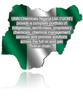 2014 National Conference, Nigeria (355x429)