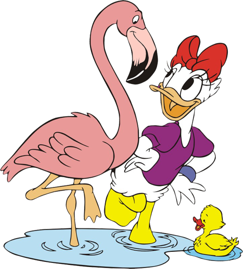 Artwork Birthday Hat Flamingos - Clip Art (480x532)