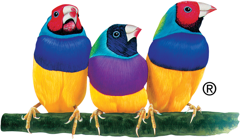 Index Register - Viewsonic Logo (800x473)