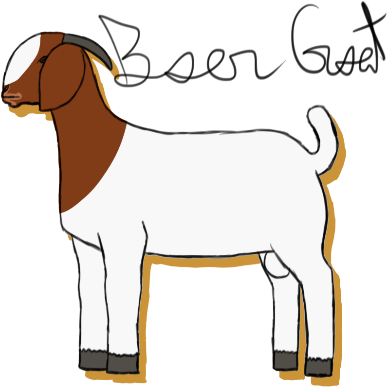 Boer Goat By Spotted Tabby Cat - Boer Goat By Spotted Tabby Cat (836x848)