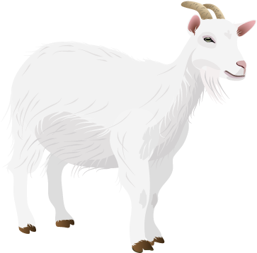 File201408 Goat - T-shirt (400x400)
