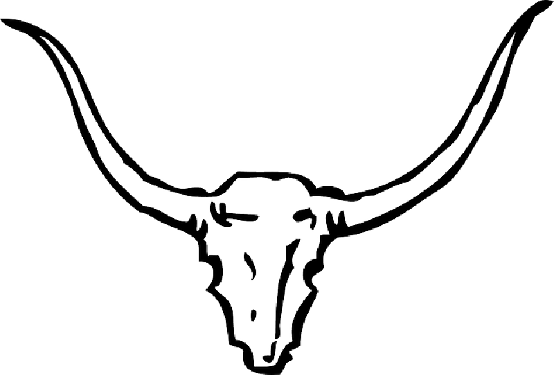 Goat Drawing Outline - Bull Horns Clipart (800x542)