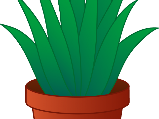 Potted Plants Clipart - Clip Art (640x480)