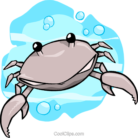 Crab Royalty Free Vector Clip Art Illustration - Freshwater Crab (480x478)