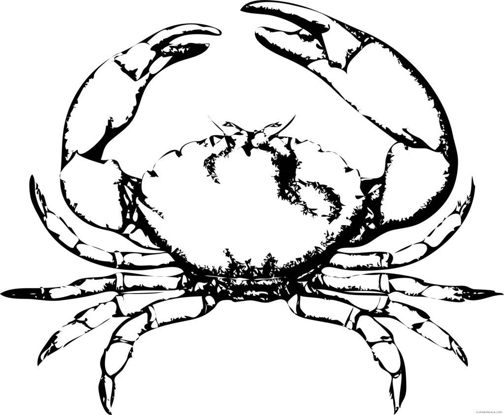 Medium Image - Crab Black And White (1024x844)