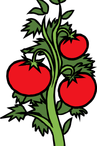 Garden Vegetables Clipart 3 By Morgan - Vegetable Garden Clip Art (320x480)