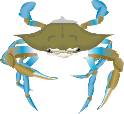 Clipart Info - Blue Crab Vector Png (400x369)