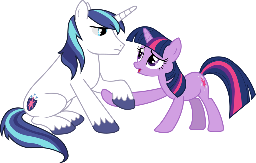 Twilight Sparklearmorsmy Little - Shining Armour And Twilight Sparkle (900x574)