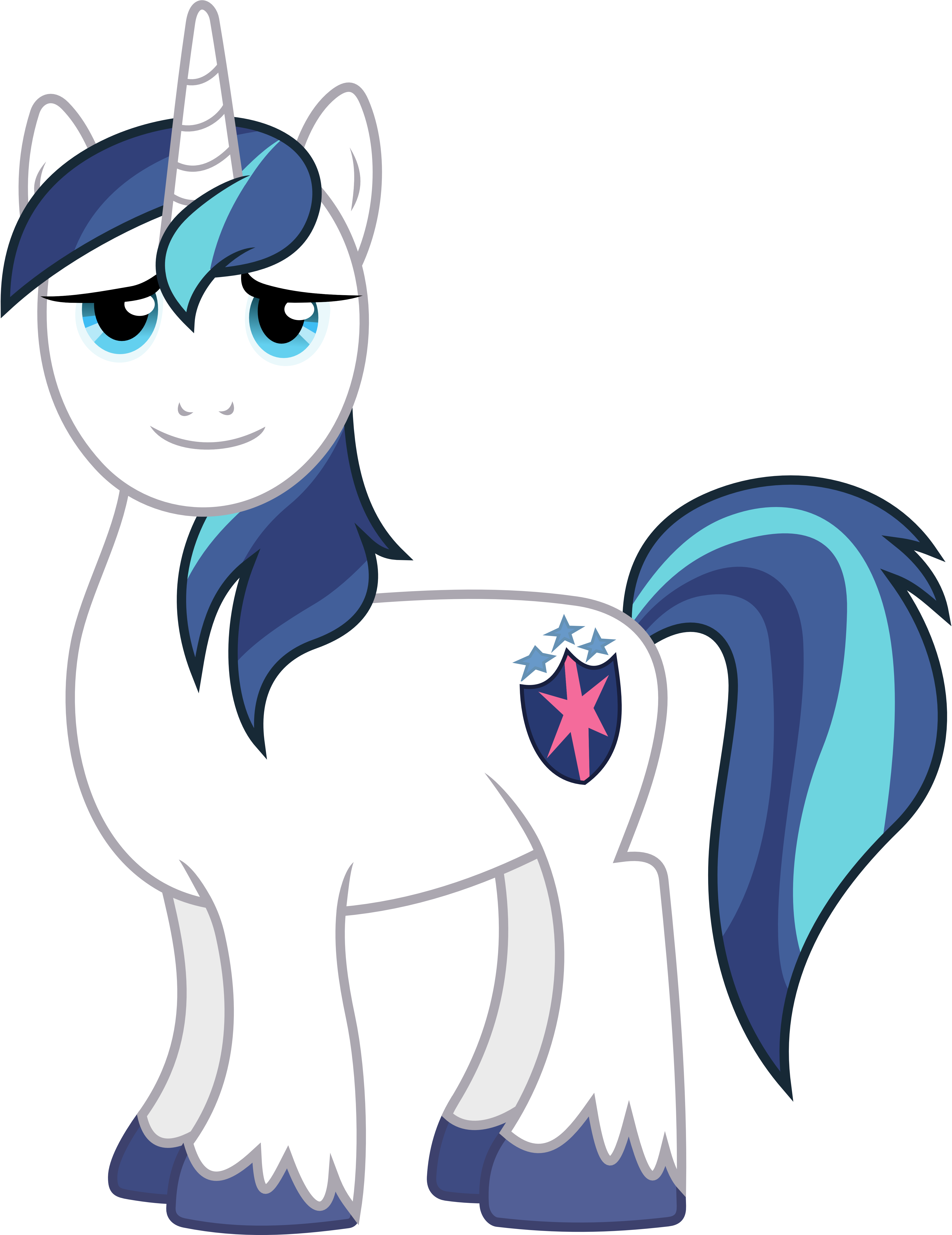Pony Big Mcintosh Princess Cadance Rarity Twilight - My Little Pony Shining Armor (4470x5800)