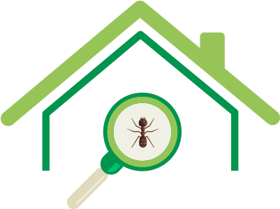 Spring-green Can Help You Solve Your Pest Problems - Pest (400x350)