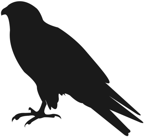 Crow Free Png Transparent Background Images Free Download - Cuervo Png (512x512)