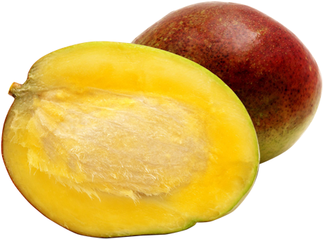 Mango - Buah Dan Biji Mangga (474x500)